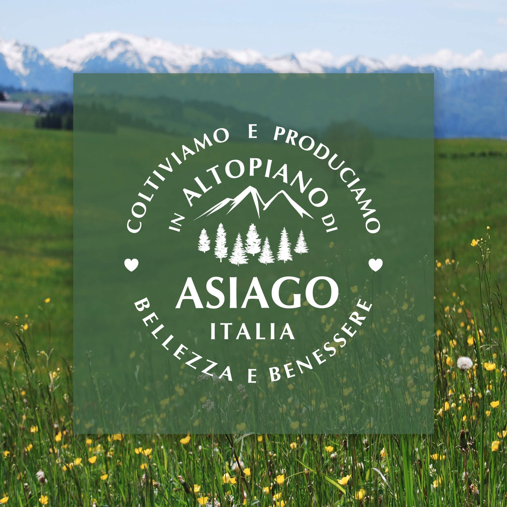 integra salus asiago