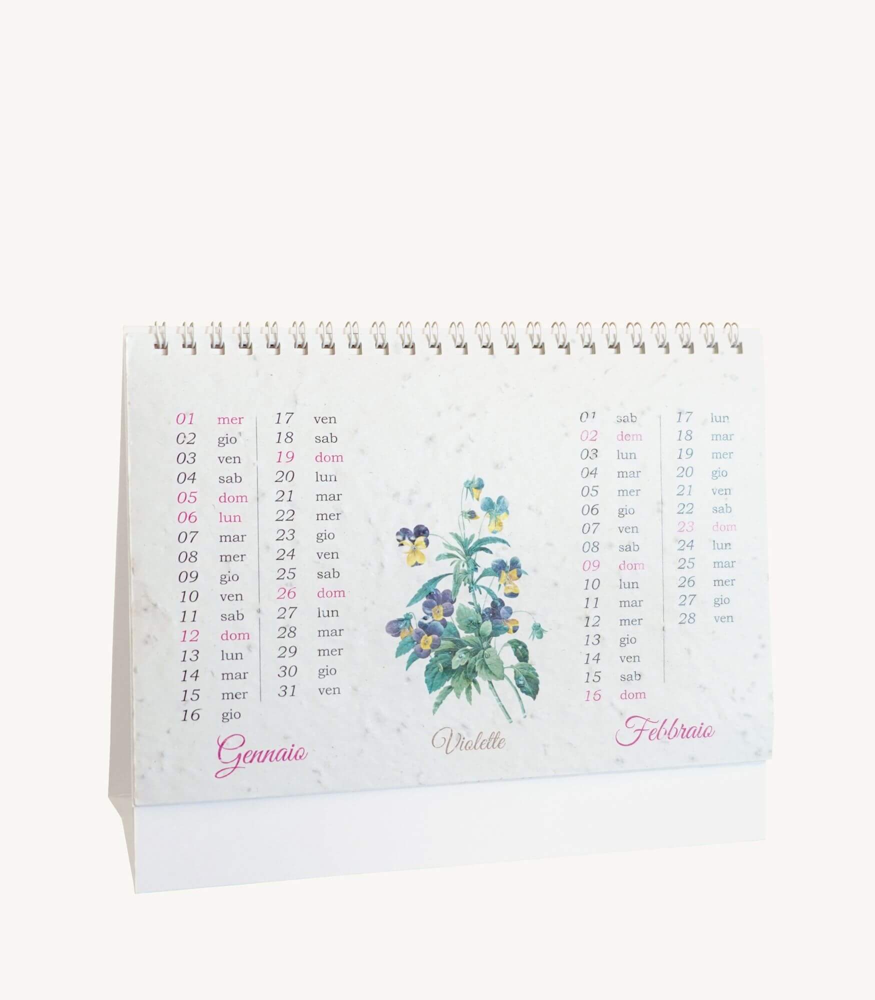 Eco Calendario 2025 in carta seminabile