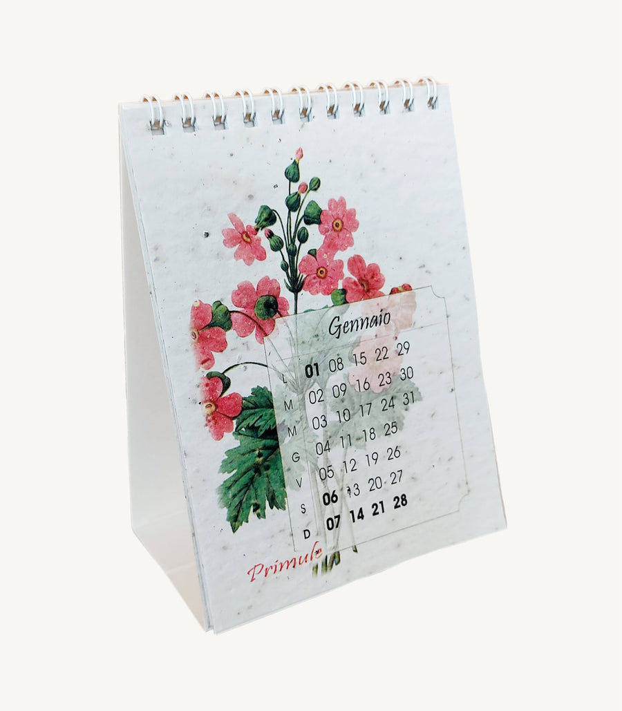 Eco Calendario 2024 in carta seminabile